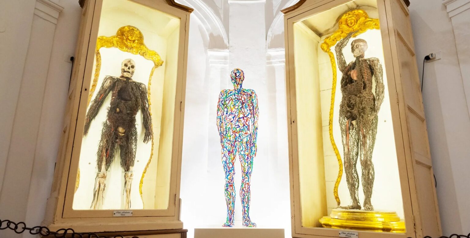 In Vitro Humanitas At The Sansevero Chapel Anatomical Machines On Show