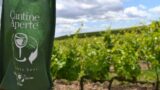 Cantine Aperte 2014 in Campania, le aziende vinicole aprono al pubblico