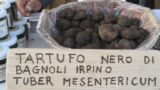 Sagre in Campania | Sagra del Tartufo Nero a Bagnoli Irpino (AV)