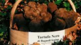 Sagre in Campania | Sagra del tartufo nero 2014 a Bagnoli Irpino (AV)