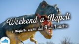 Cosa fare a Napoli nel weekend: Days of the Dinosaur, Piano City e altro | Dal 9 all’11 ottobre 2015
