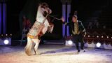Il Circo Darix Togni ad Ercolano e Sant’Anastasia con clown, animali ed acrobati
