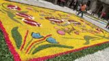 Infiorata 2016 a Cusano Mutri tra fiori e opere d’arte all’insegna della creatività