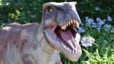 Visita spettacolo con Dinosauri di 4 metri al Museo Archeologico Virtuale di Ercolano