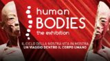 Human Bodies a Città della Scienza a Napoli: arriva la mostra dedicata al corpo umano