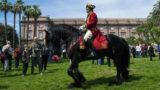 Alla Corte del Re al Bosco di Capodimonte a Napoli: gratis con giostra e giochi equestri