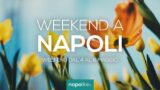 Eventi a Napoli nel weekend dal 4 al 6 maggio 2018 | 16 consigli