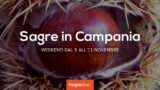 Sagre in Campania nel weekend dal 9 all’11 novembre 2018 | 4 consigli