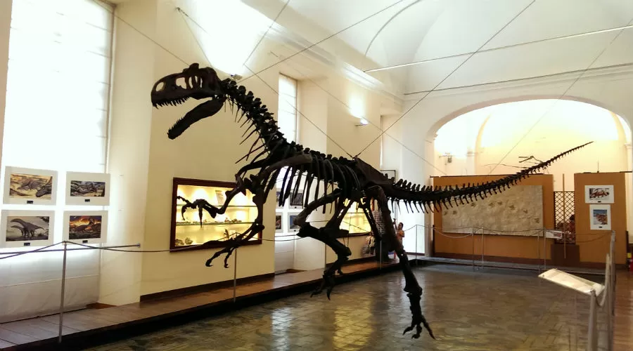 Museo di Paleontologia Napoli