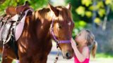 Ippodromo di Agnano a Napoli, tanti eventi serali anche per bambini