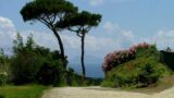 Trekking Urbano con birdwatching a Napoli tra la Gaiola e il Parco Virgiliano