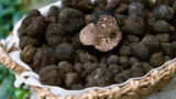 Sagra della castagna e del tartufo nero 2019 a Bagnoli Irpino