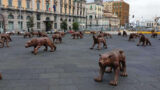 Lupi in Piazza Municipio a Napoli, installazione prorogata per due mesi