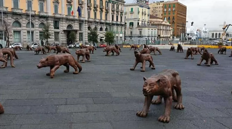 Installazione di lupi in Piazza Municipio a Napoli