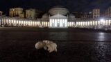 L’opera di Jago in Piazza Plebiscito a Napoli: “Lookdown”, la scultura da 1 milione di euro