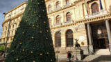 Albero di Natale in Piazza Bovio a Napoli per le feste 2020