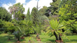 Appuntamento in giardino a Napoli: visite nei luoghi verdi più belli