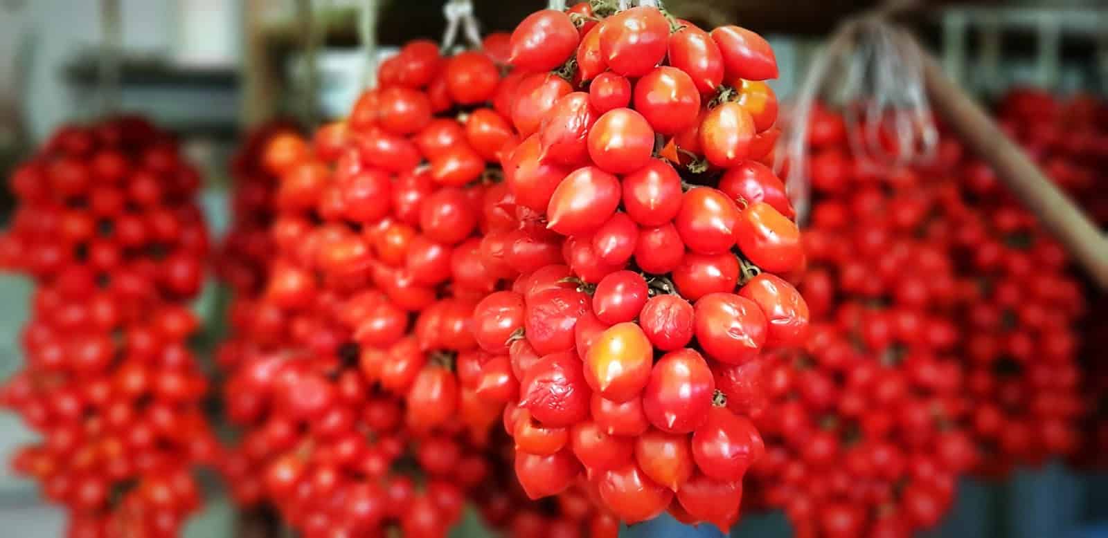 The Vesuvius Park At Casa Sanremo With The Beauties And Typical Products Of Our Territory