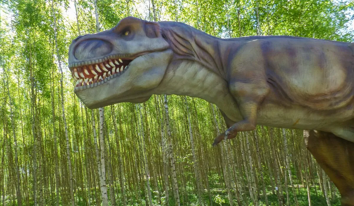 Dinosaur park