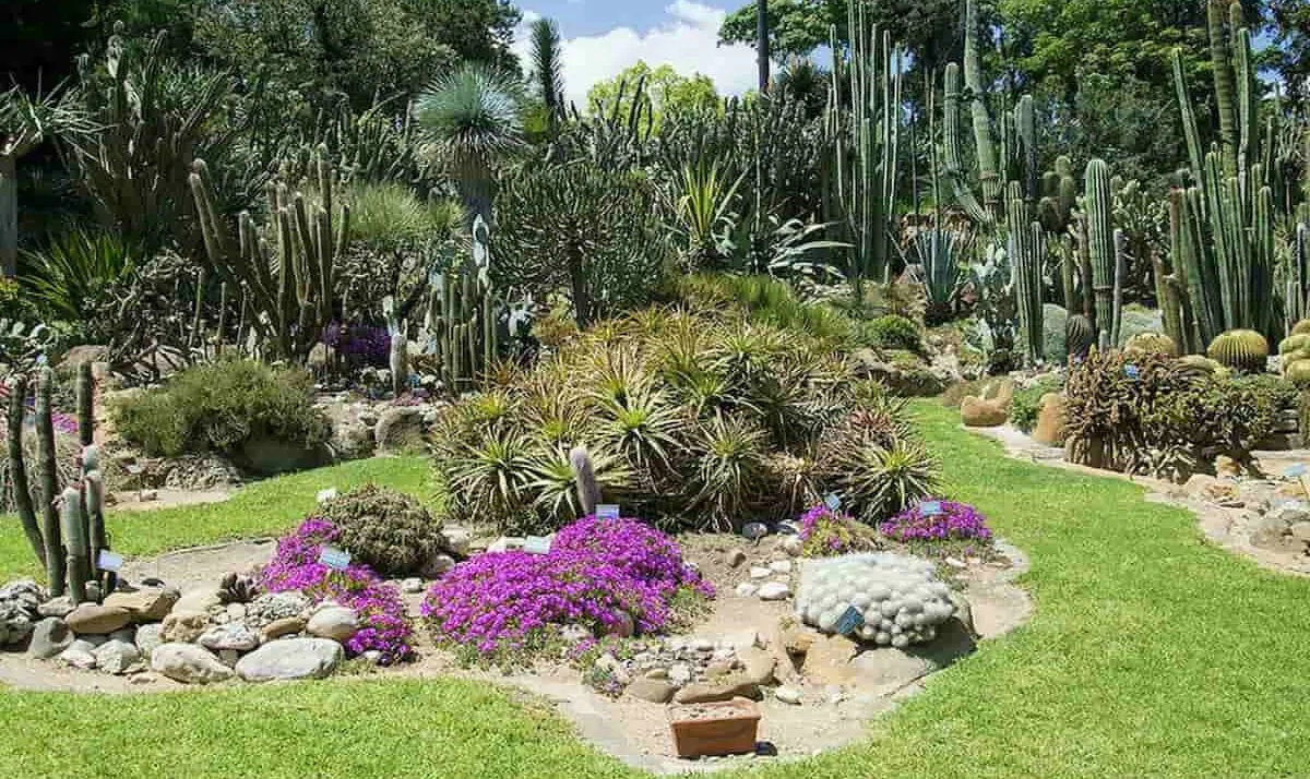 Orto Botanico di Napoli