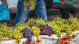 Settembrata Anacaprese 2023, festa dell’uva ad Anacapri con eventi gratis