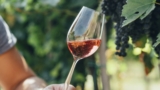 VinEstate 2023 a Torrecuso: degustazione di vini e prodotti tipici
