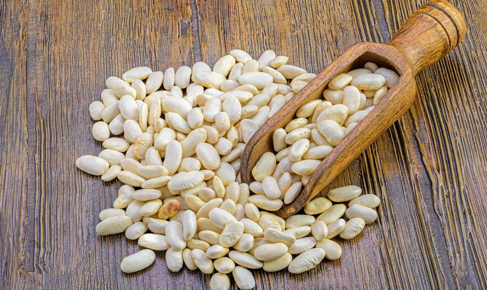 Wooden shovel holding a heap of white beans