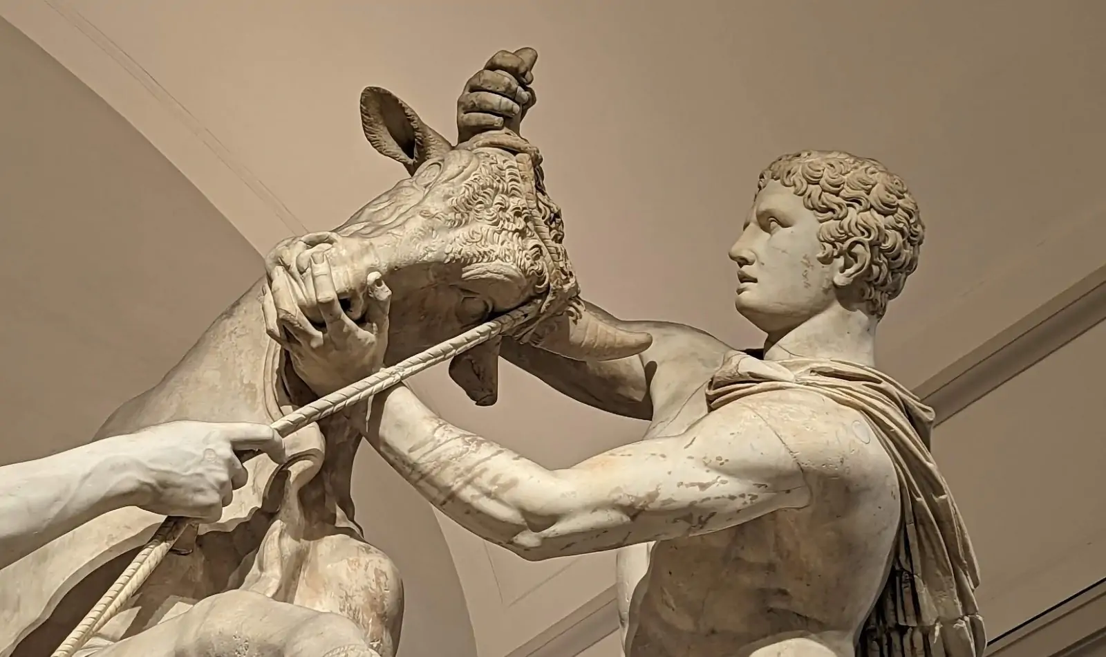 Toro Farnese al MANN di Napoli