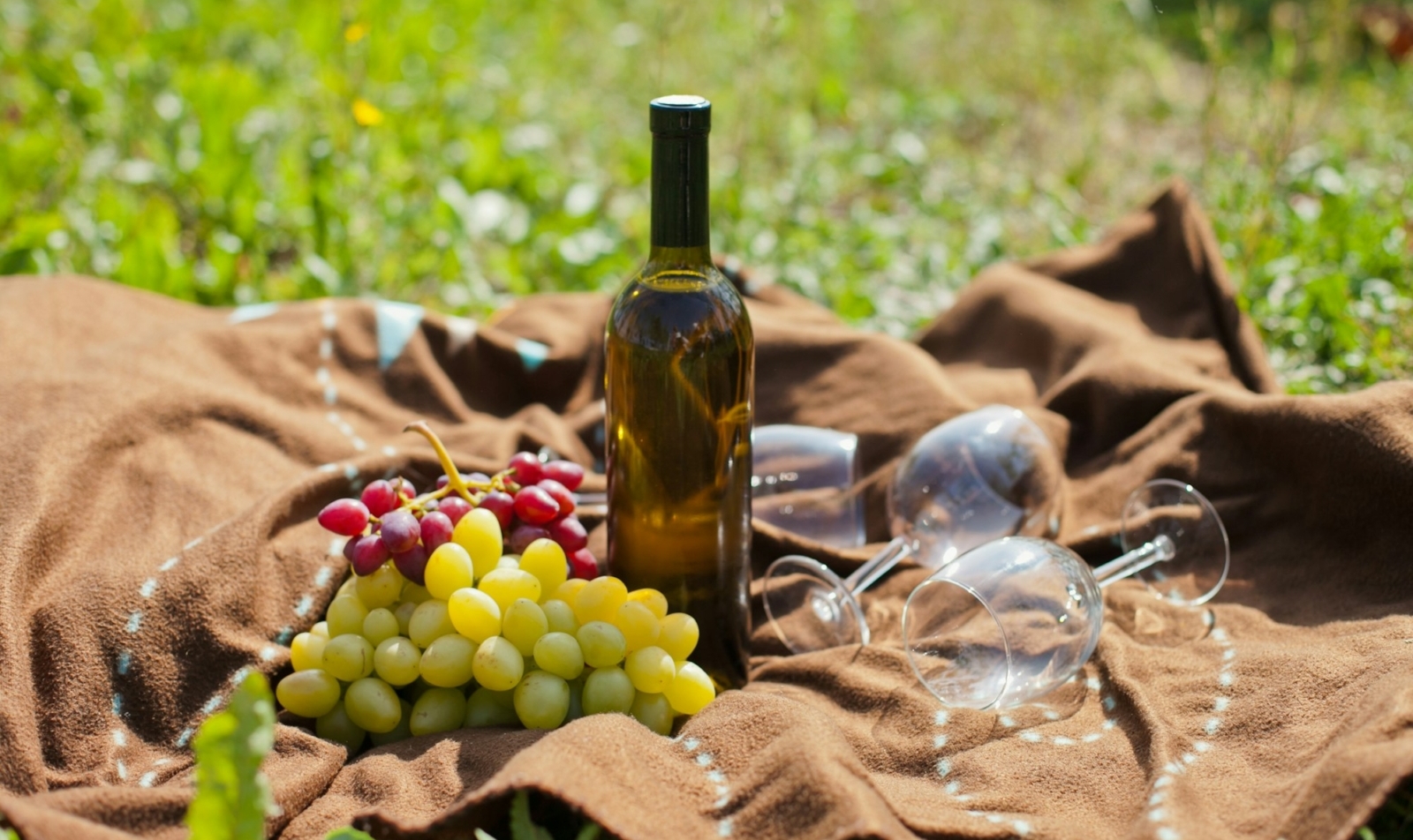 Bottle of wine and wine glasses and grapes on a picnic on vineyard and winery