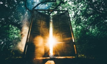 The fairytale door with back light in the mystic forest.