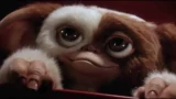 Gremlins in TV a Natale, quando andrà in onda e su che canale